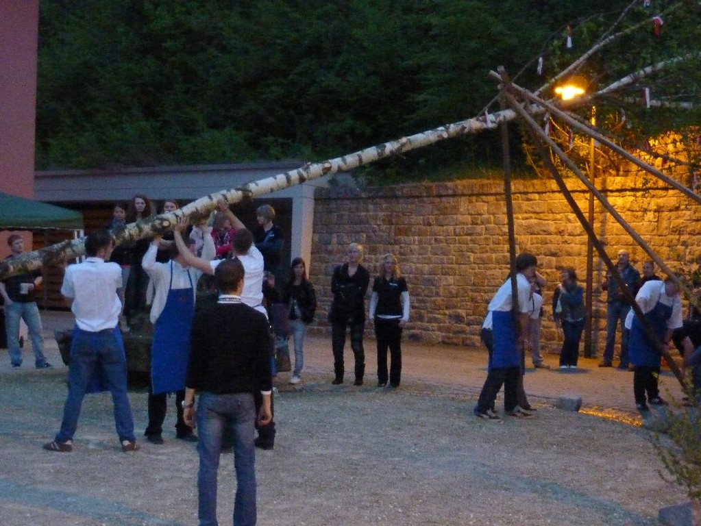 Schonunger Planpaare - Maibaum 2010