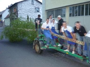 Schonunger Planpaare - Maibaum 2010