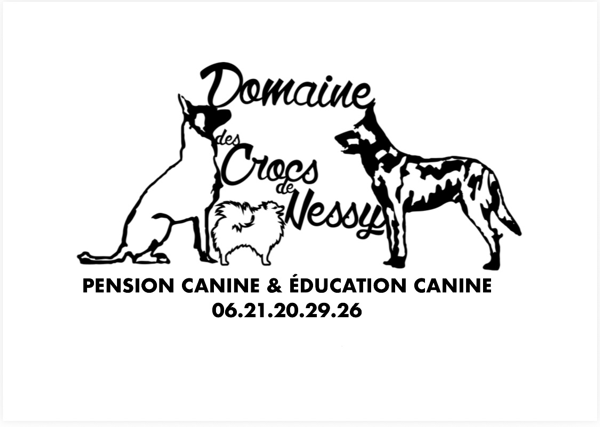 pension-elevage-education-domaine-des-crocs-de-nessy