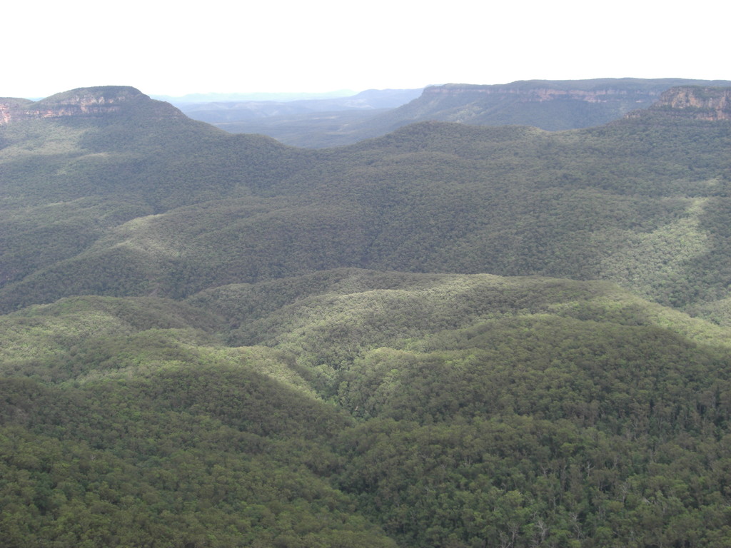 The Blue Mountains