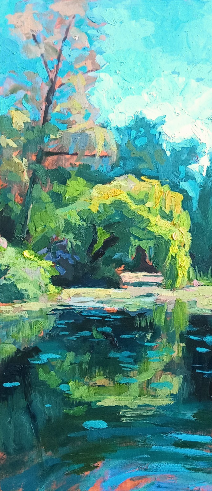 56,5 x 25 cm
