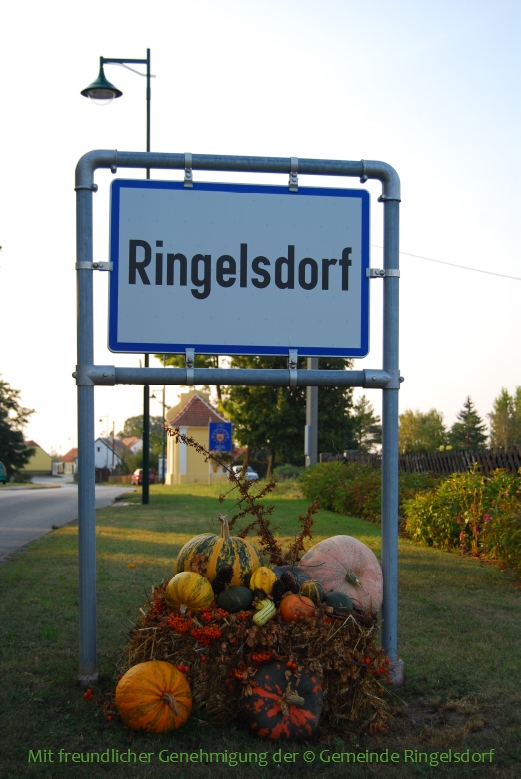 Ringelsdorf der Ort chronikringelsdorfs Webseite!