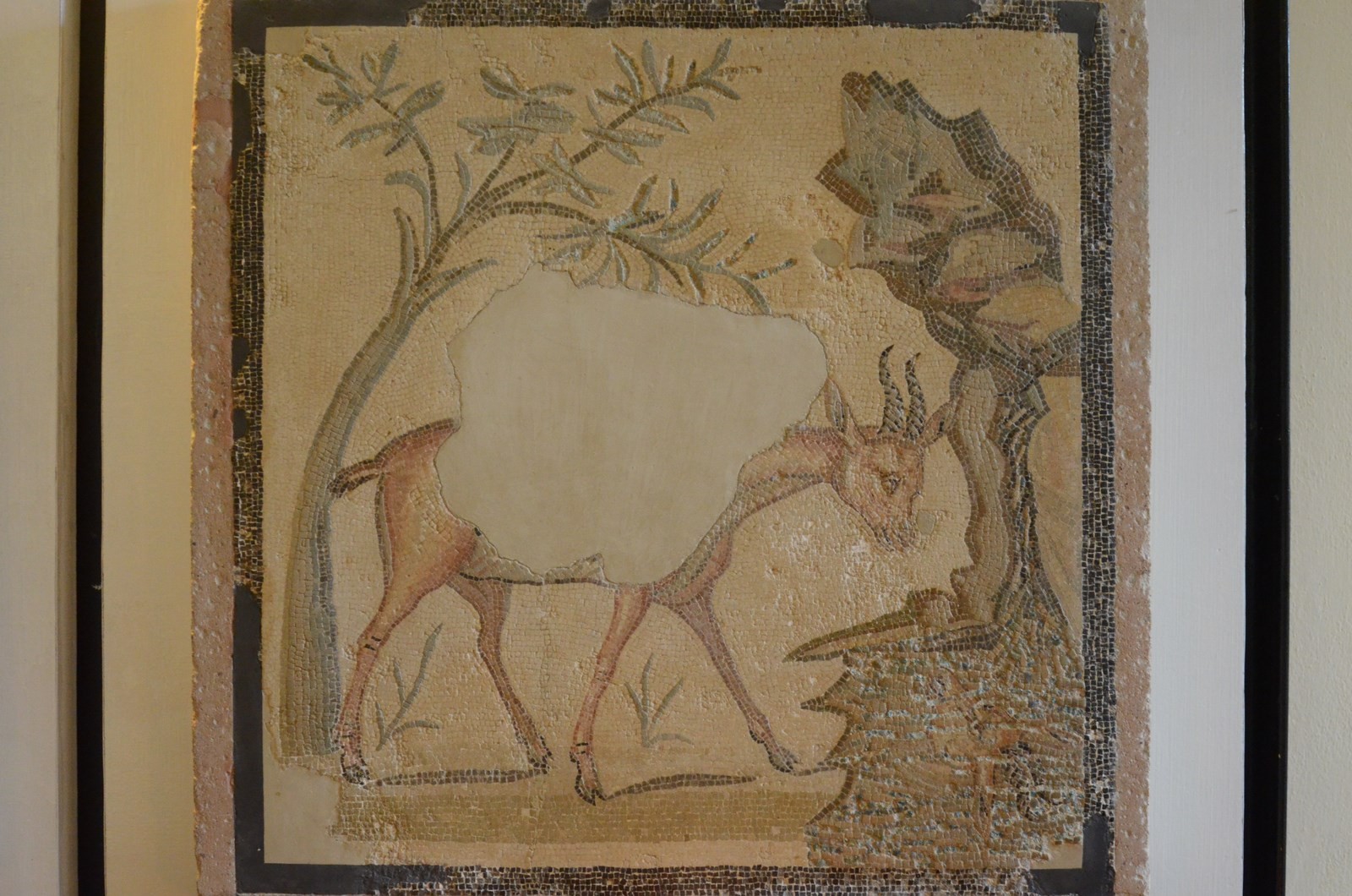 Agrigento, Archäologisches Museum, Mosaik