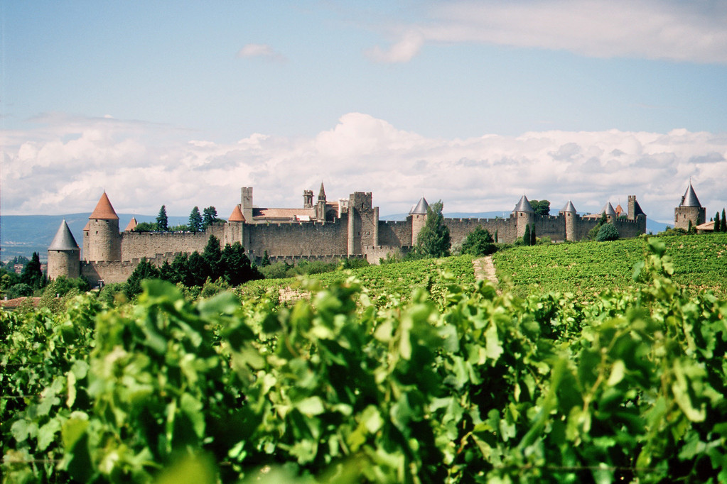 Blick auf Carcassonne