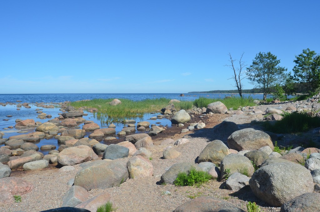 Lahemaa Nationalpark, Findlinge an der Küste bei Altja