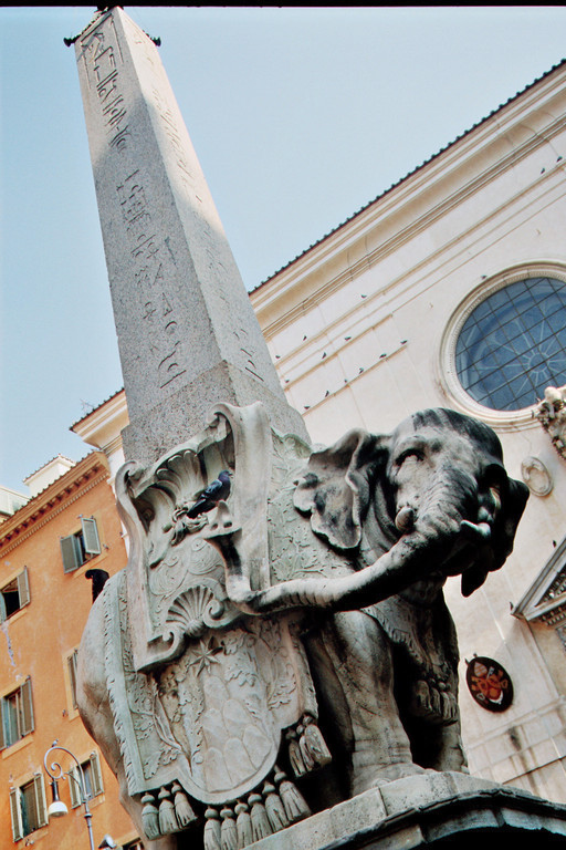 Berninis Elefant vor Santa Maria sopra Minerva