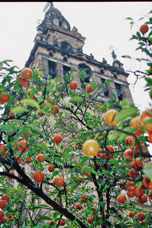 Sevilla, Kathedrale