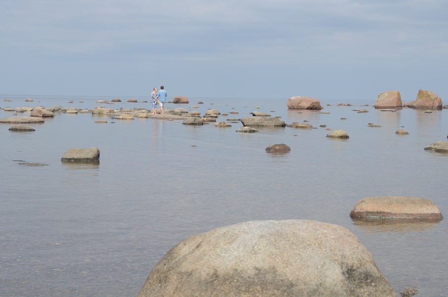 Ostsee-Findlinge im Norden Estlands