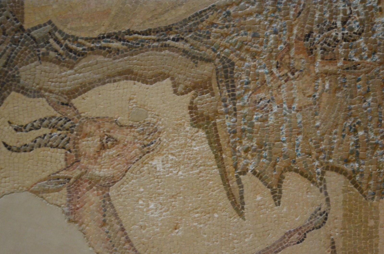 Agrigento, Archäologisches Museum, Mosaik (Detail)