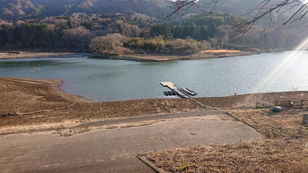 真野 ダム バス 釣り