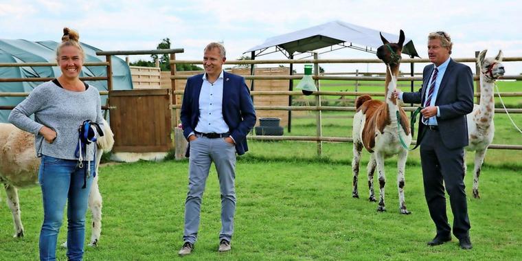 LN Artikel: Wirtschaftsminister Bernd Buchholz wanderte in Panten mit Lamas