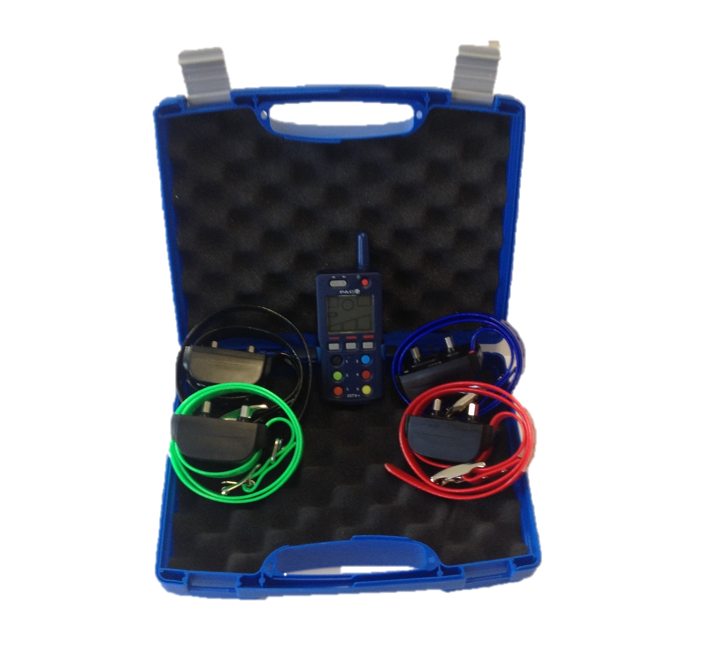 collier dressage 6 chiens
