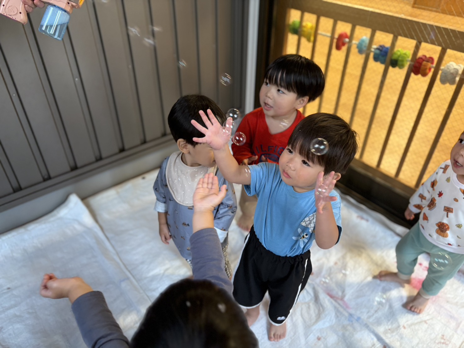 今週のちょうちょさん