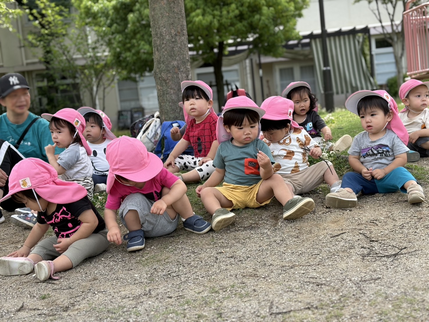 5月も終わり
