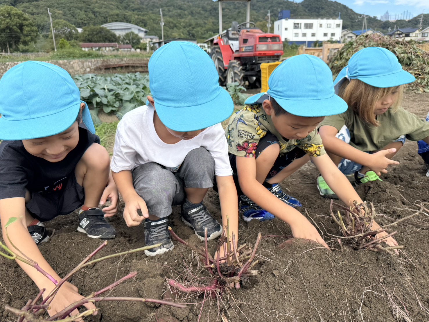 芋ほり遠足