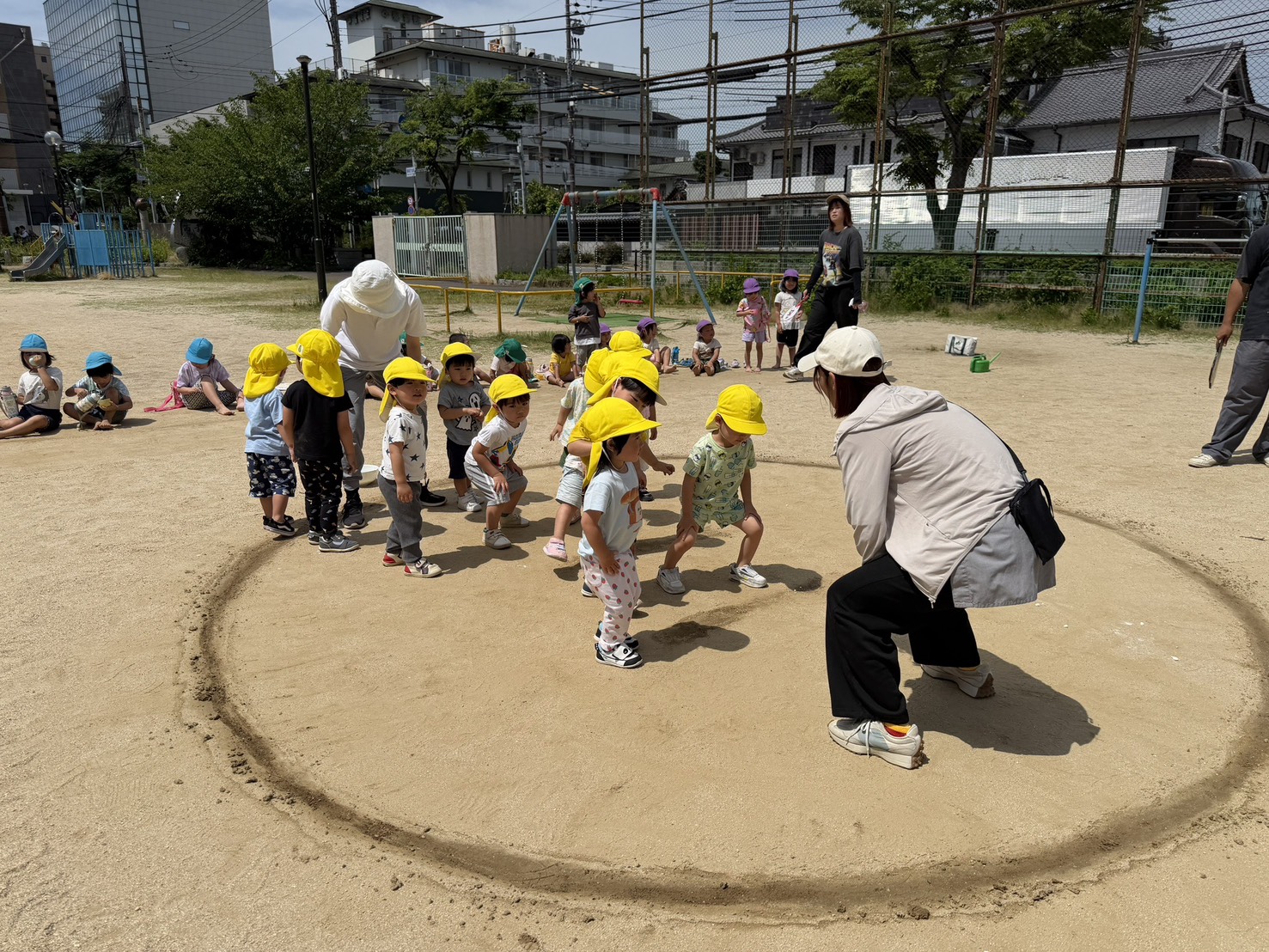 どすこーい！