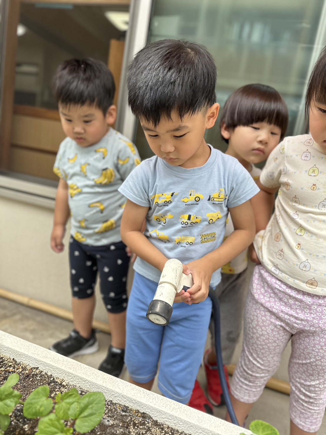 \\大きくなぁーれ//