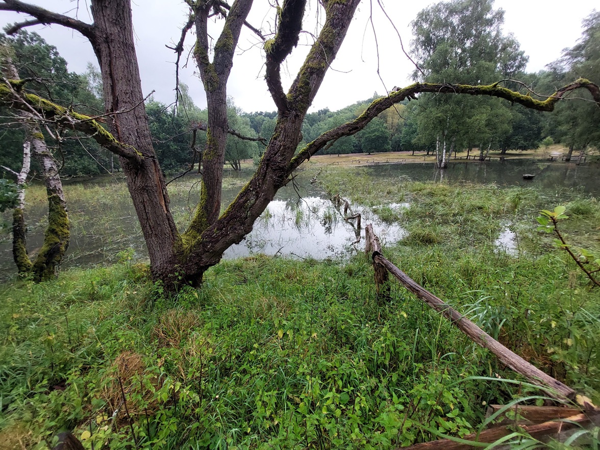 IBA sorglos: Wasser marsch!