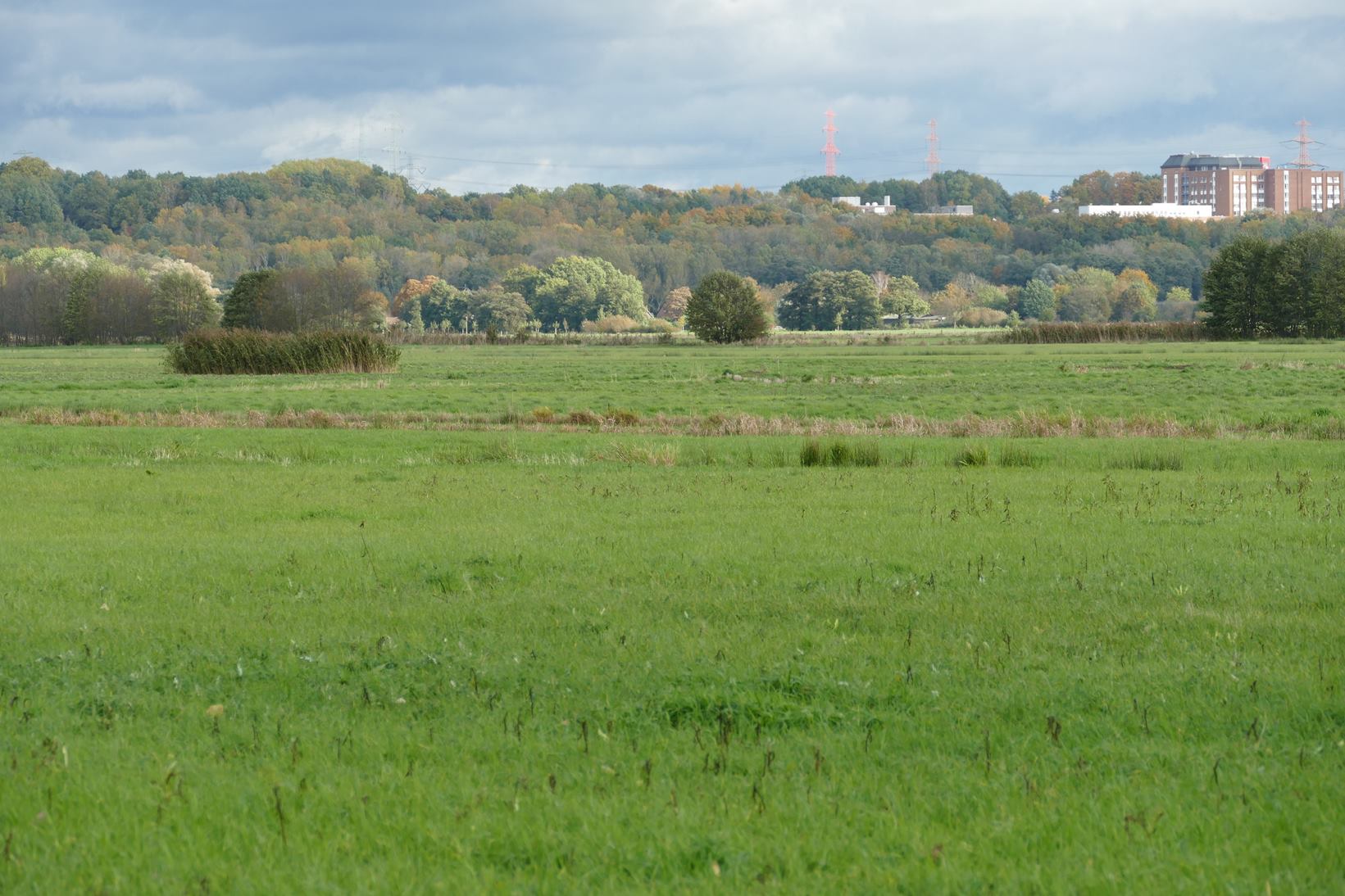 Kurzsichtig statt Weitblick