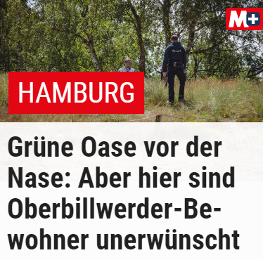 Titel mit Foto aus der Morgenpost Hamburg