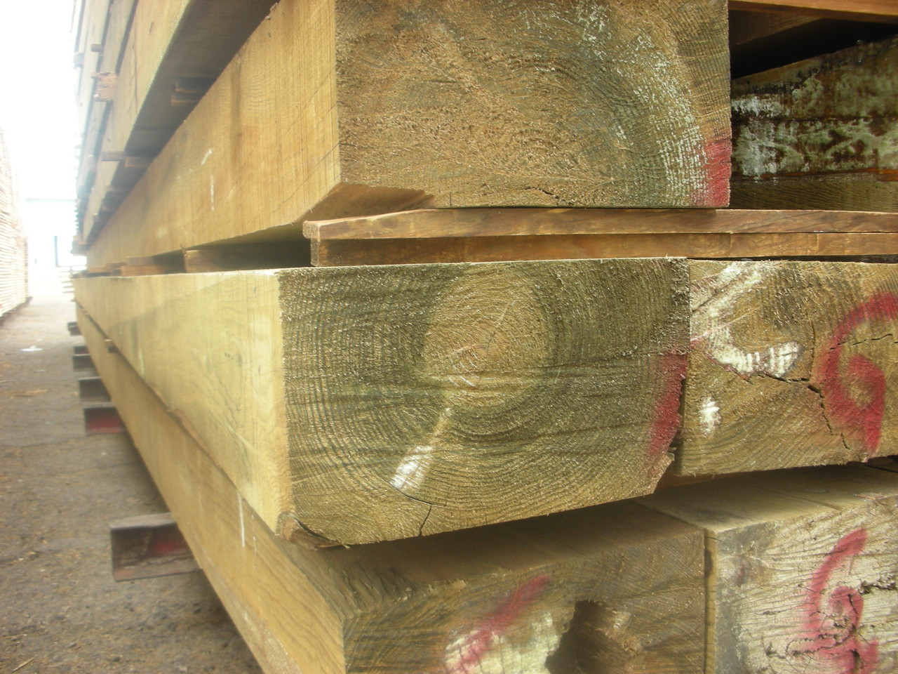 Madera Impregnada Página web de distribuidorayproductosdemaderas