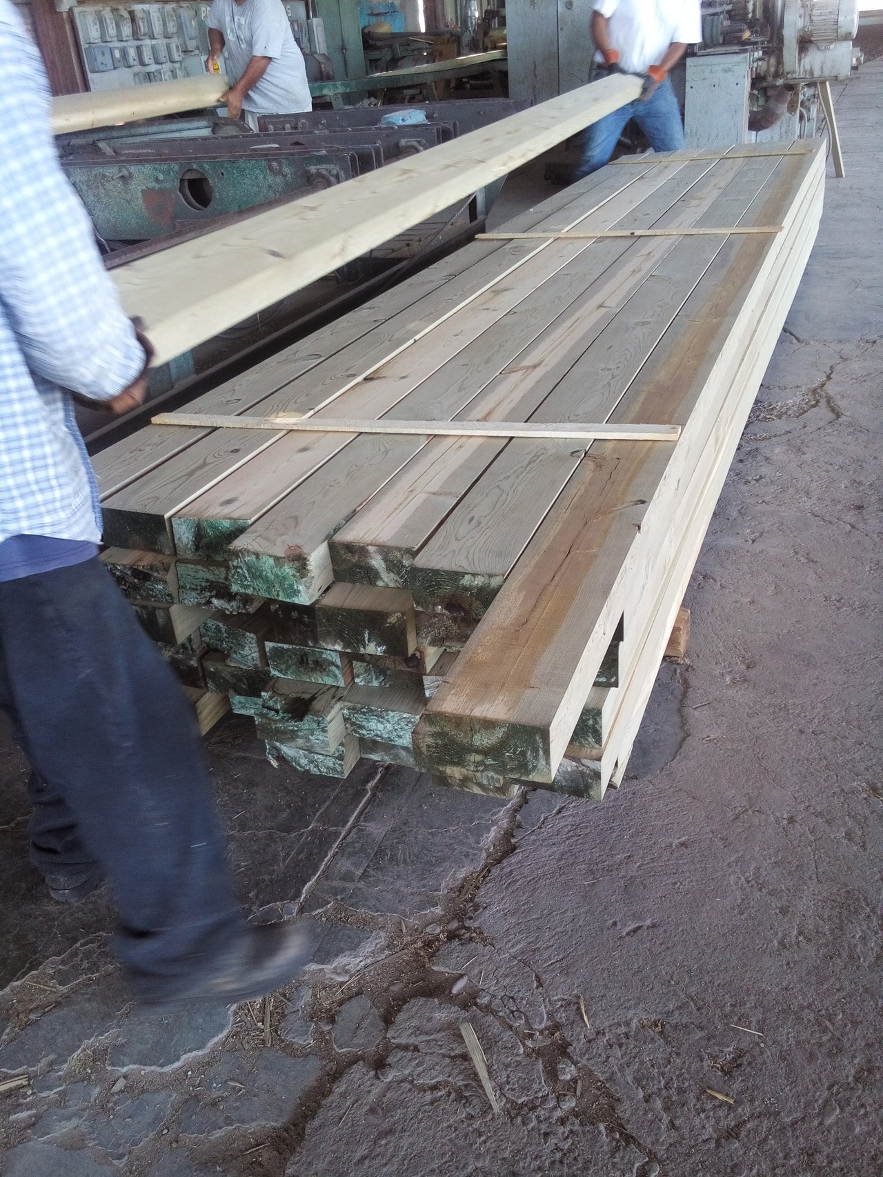 Madera Impregnada Página web de distribuidorayproductosdemaderas Madera Impregnada Página web de distribuidorayproductosdemaderas