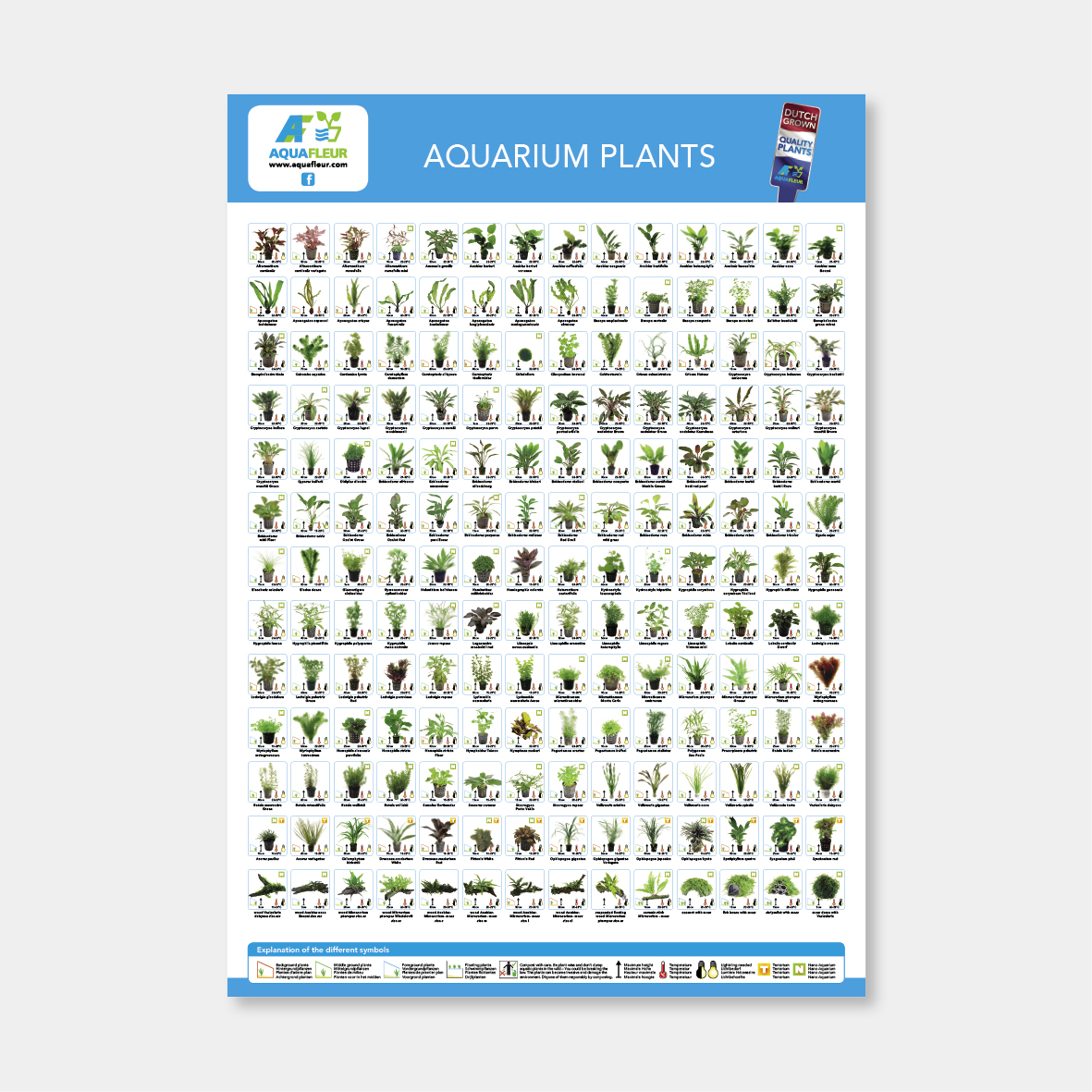 Product poster - 182 planten