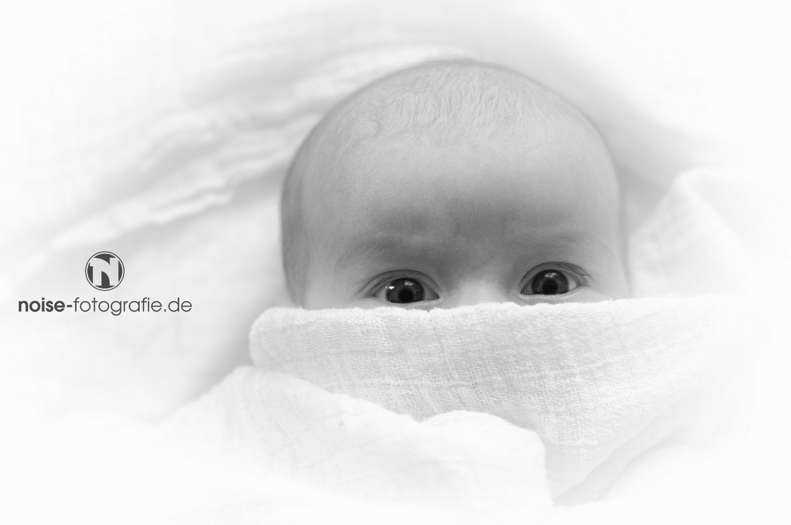 Copyright Noise-fotografie.de (c) Noise-fotografie.de
