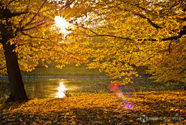 Indian Summer am Parkteich in Gotha Herbst