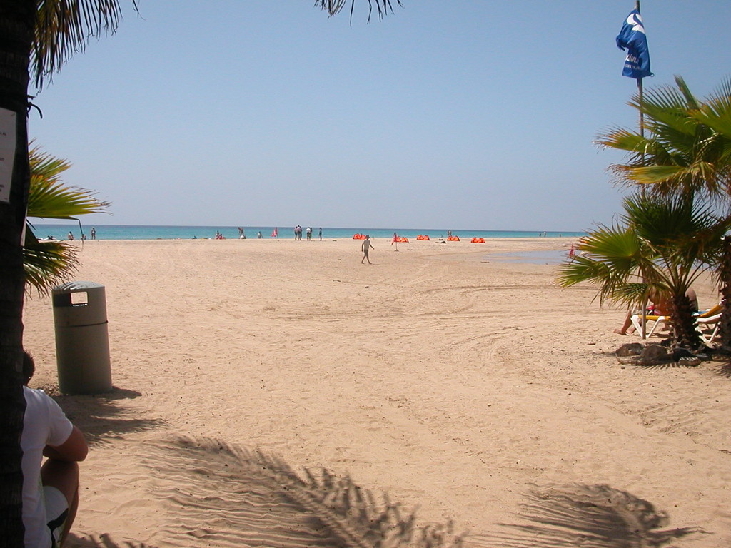 Playa de Sotavento... ( 2011 )