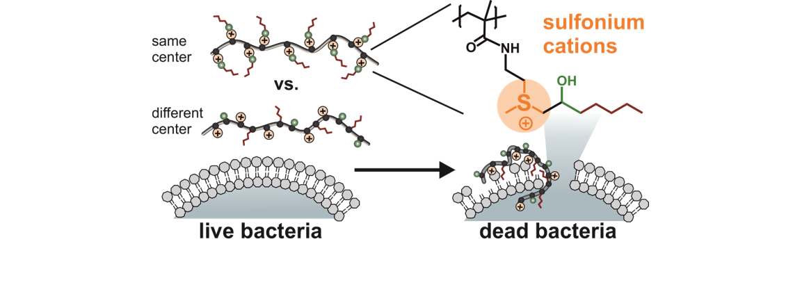 Sulfonium-Based Antimicrobial Polymers