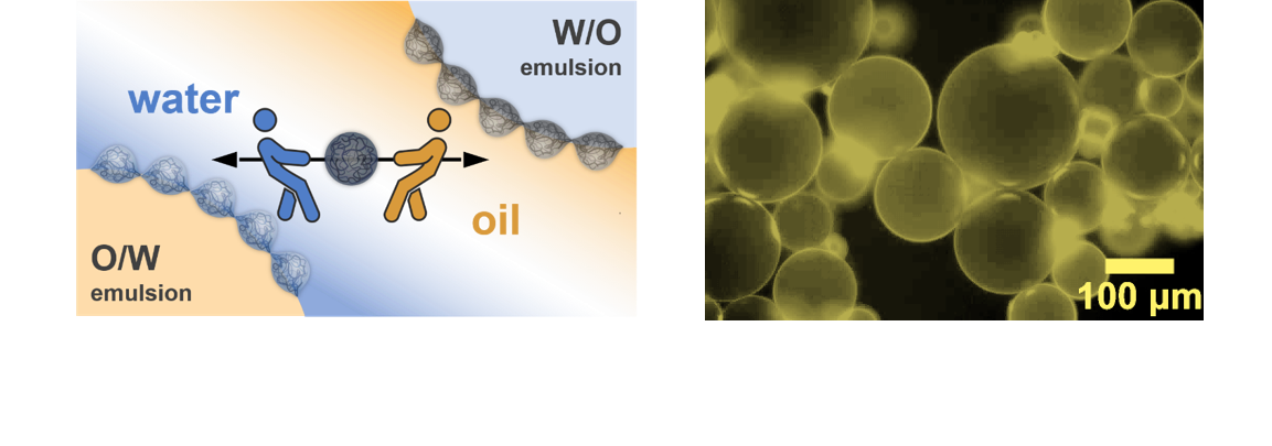 Amphiphilic Nanogels as Versatile Stabilizers in Pickering Emulsions