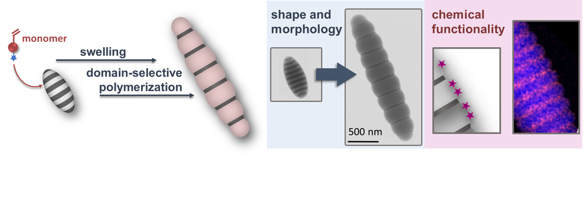 Regioselective Seeded Polymerization in BCP Nanoparticles