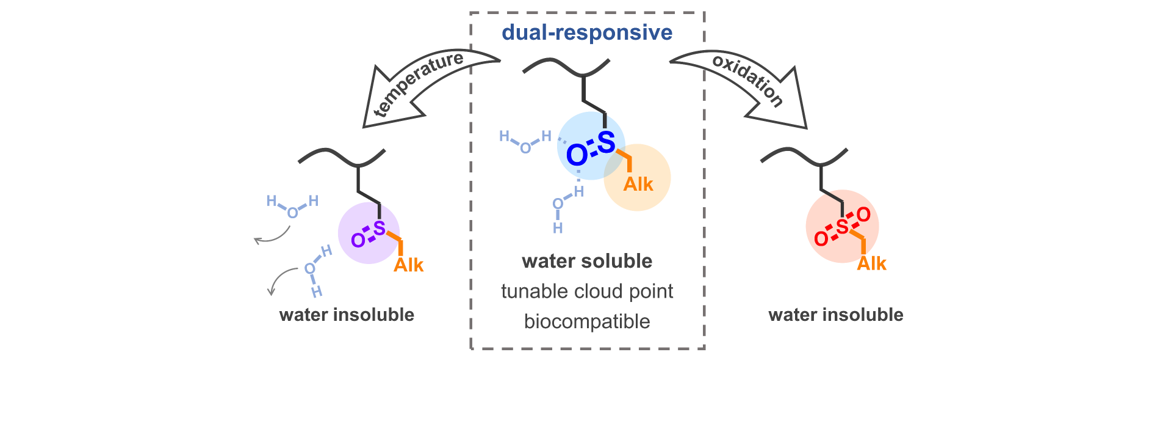 Thermo- and Oxidation-Responsive Polymers based on Sulfoxide Side Groups