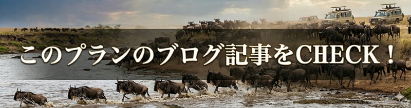 ブログへ