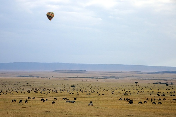 【田中純プラン】ケニア個人旅行ハネムーン8日間｜新婚旅行モデルコース