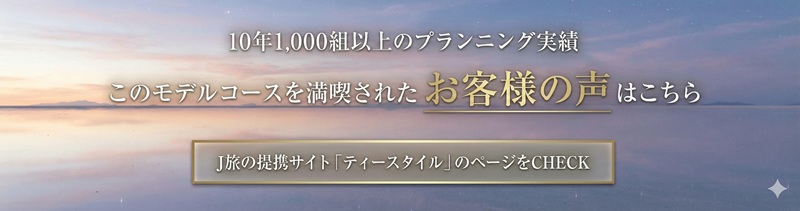 ボリビア新婚旅行　お客様の声