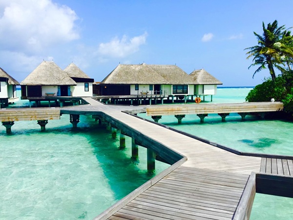 【田中純プラン】スリランカ＆モルディブ新婚旅行・ハネムーン｜世界遺産と極上リゾート贅沢ステイ8日間モデルコース