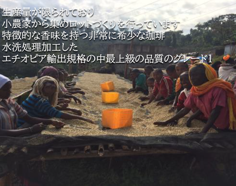 エチオピア:イルガチェフェ チェルベサ ウォシュド 松浜珈琲焙煎所|芦屋