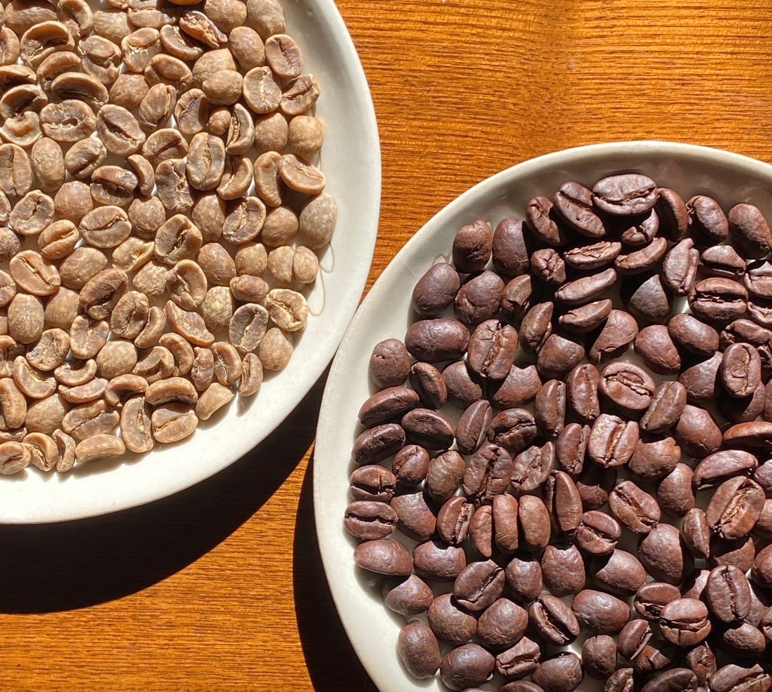 メキシコ：チアパスSHGカフェインレス - 松浜珈琲焙煎所｜芦屋