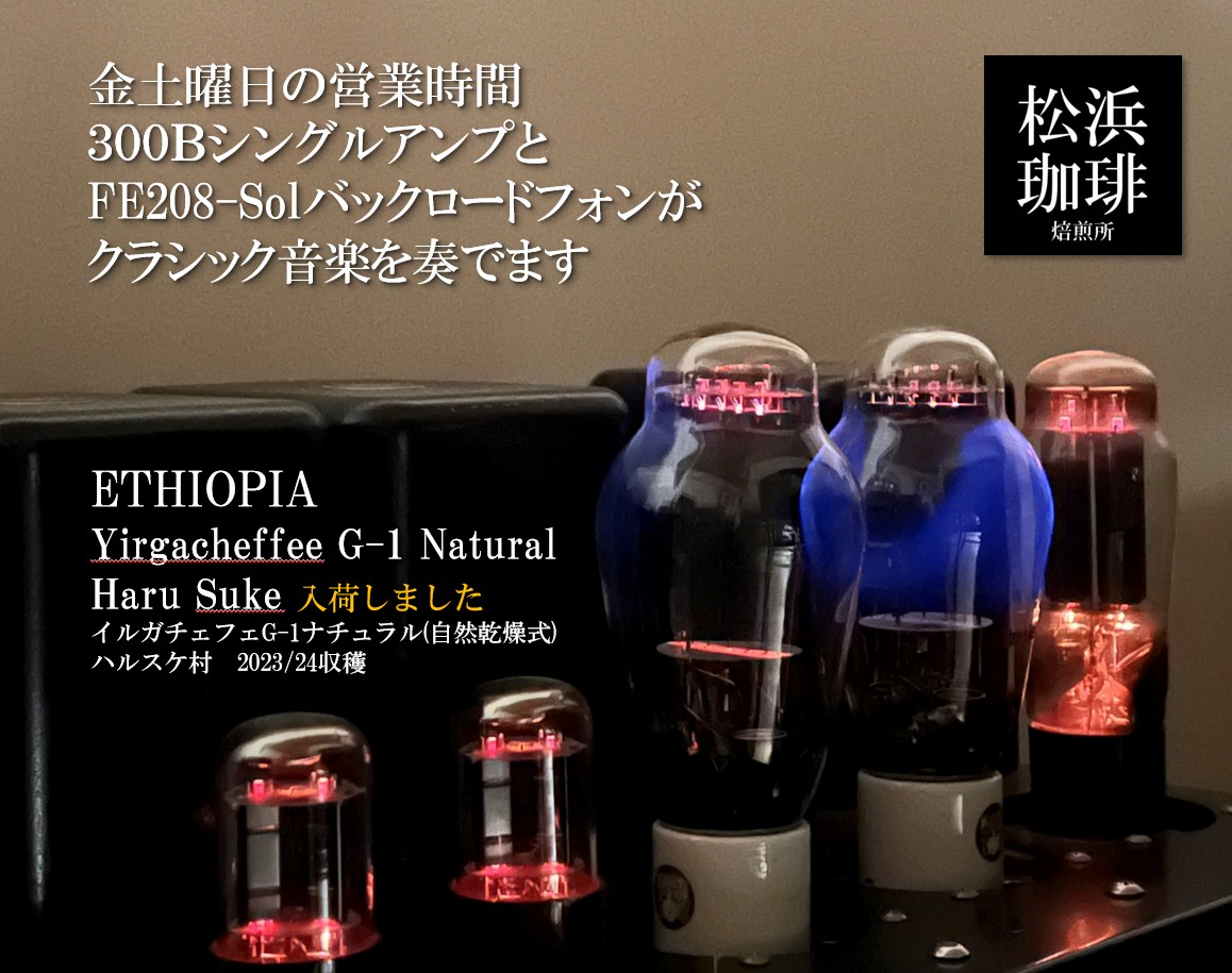 300BシングルアンプとFE208-solバックロードホーンが奏でます