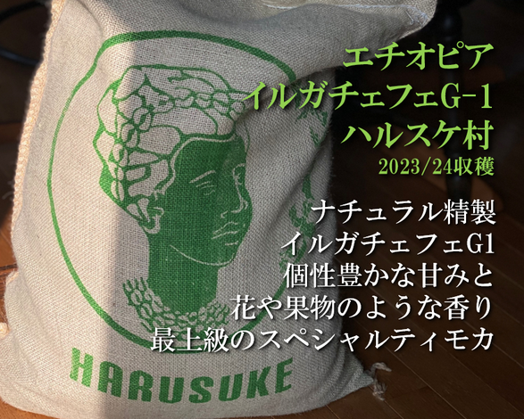 エチオピア/イルガチェフェG-1 ナチュラル ハルスケ村入荷しました。