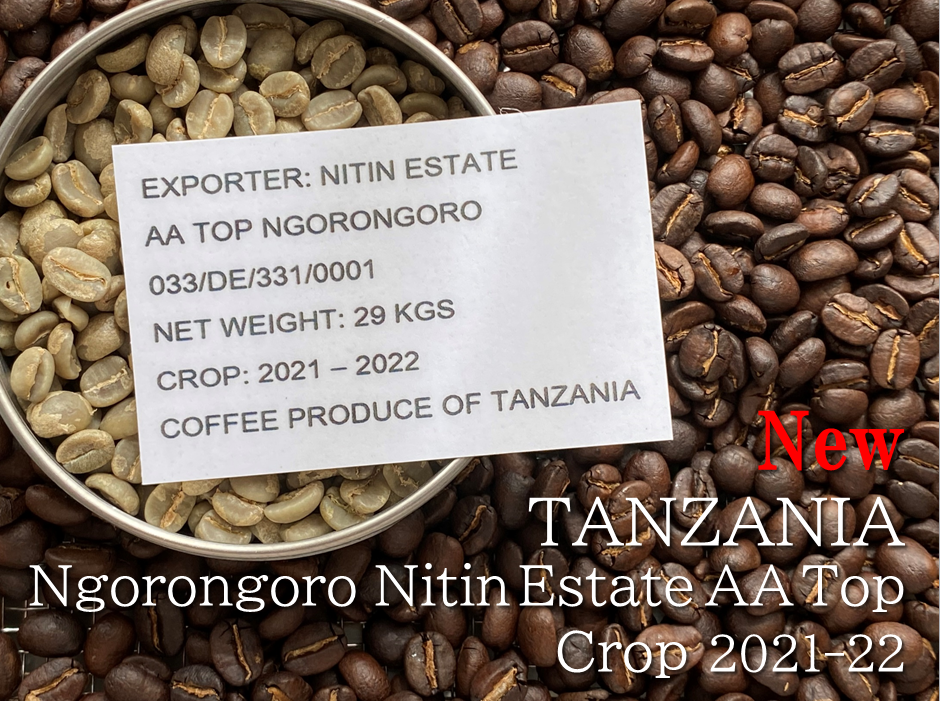 タンザニア/ンゴロンゴロ ニュークロップ(2021-22)入荷