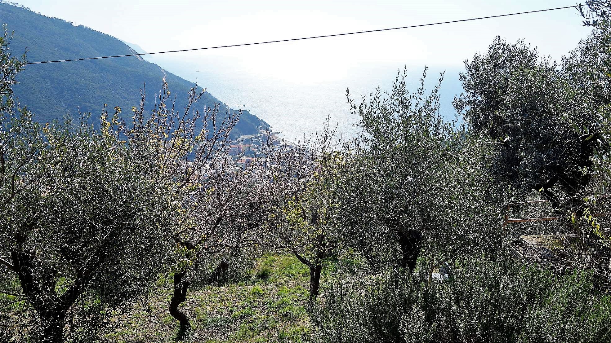 Deiva Marina
