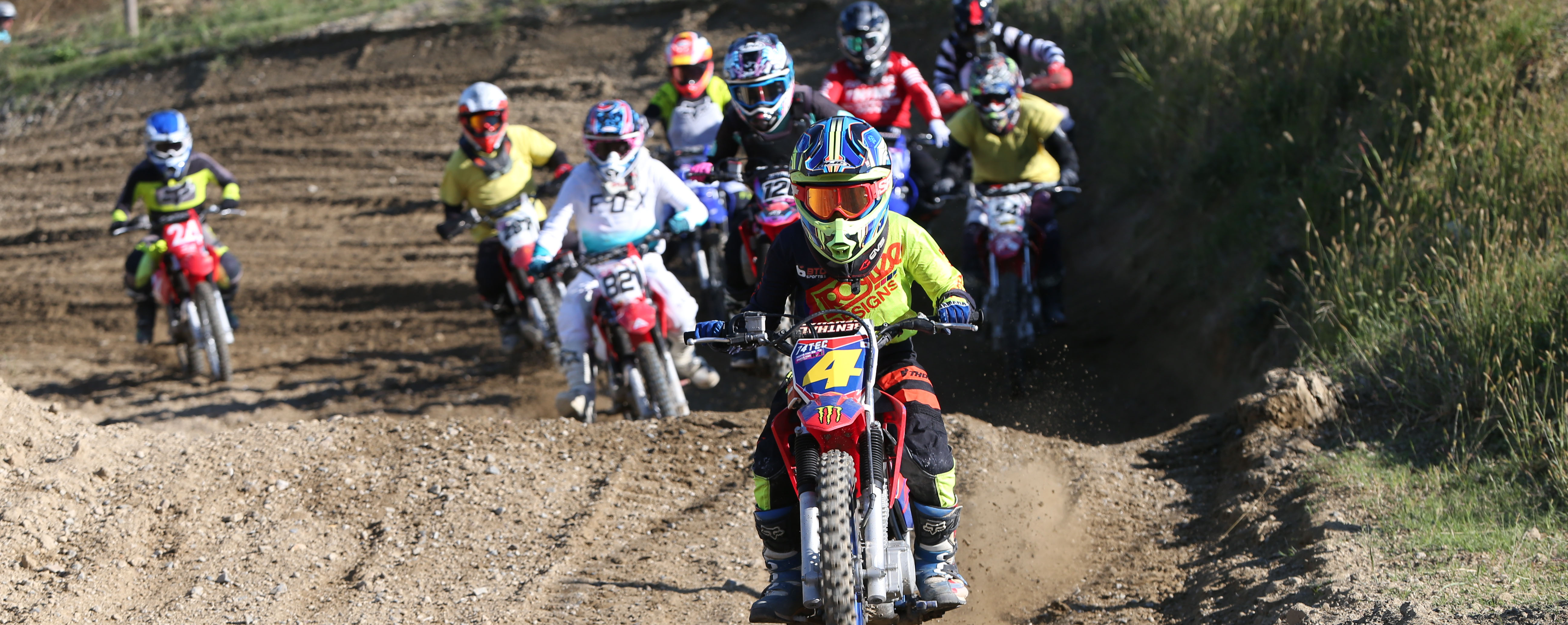 きく(プロフィールを必ずお読みください) JR 115-2000系近郊電車(JR西日本40N更新車・アイボリー)増結