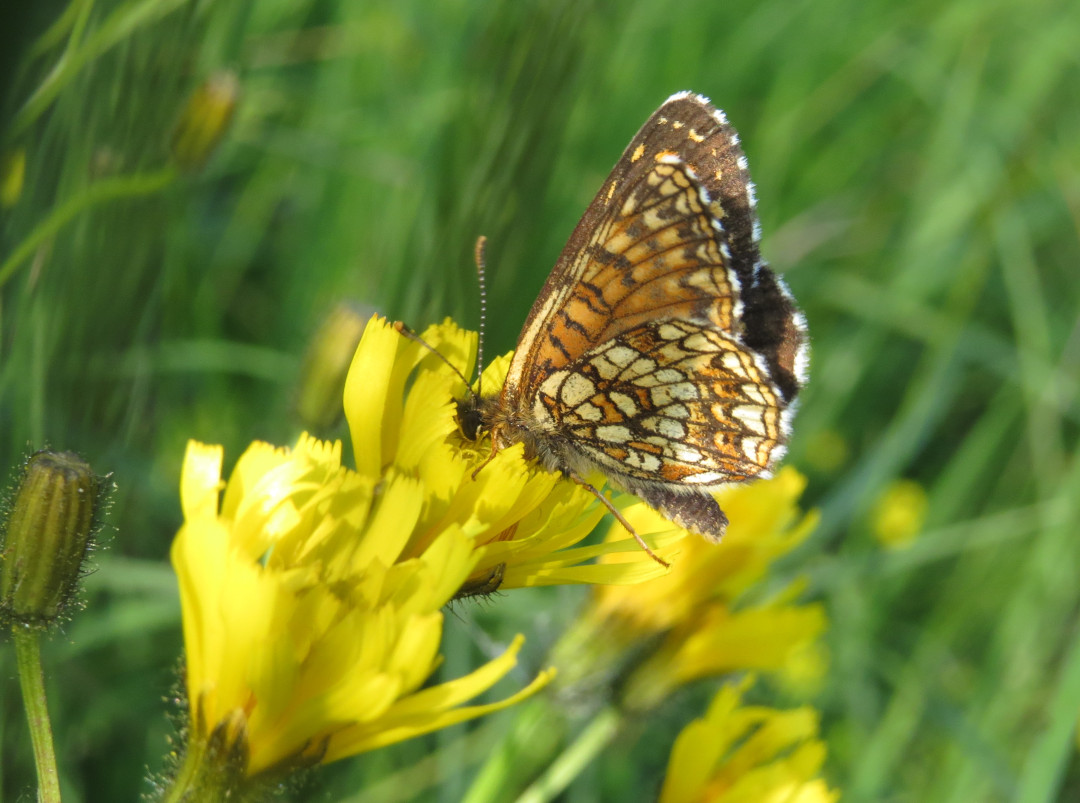 xxx. Foto: Erwin Möhrlein