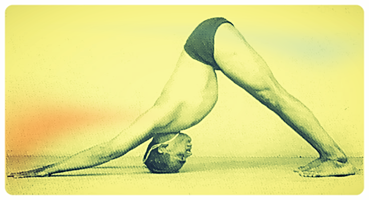 ADHOMUKA SVANASANA