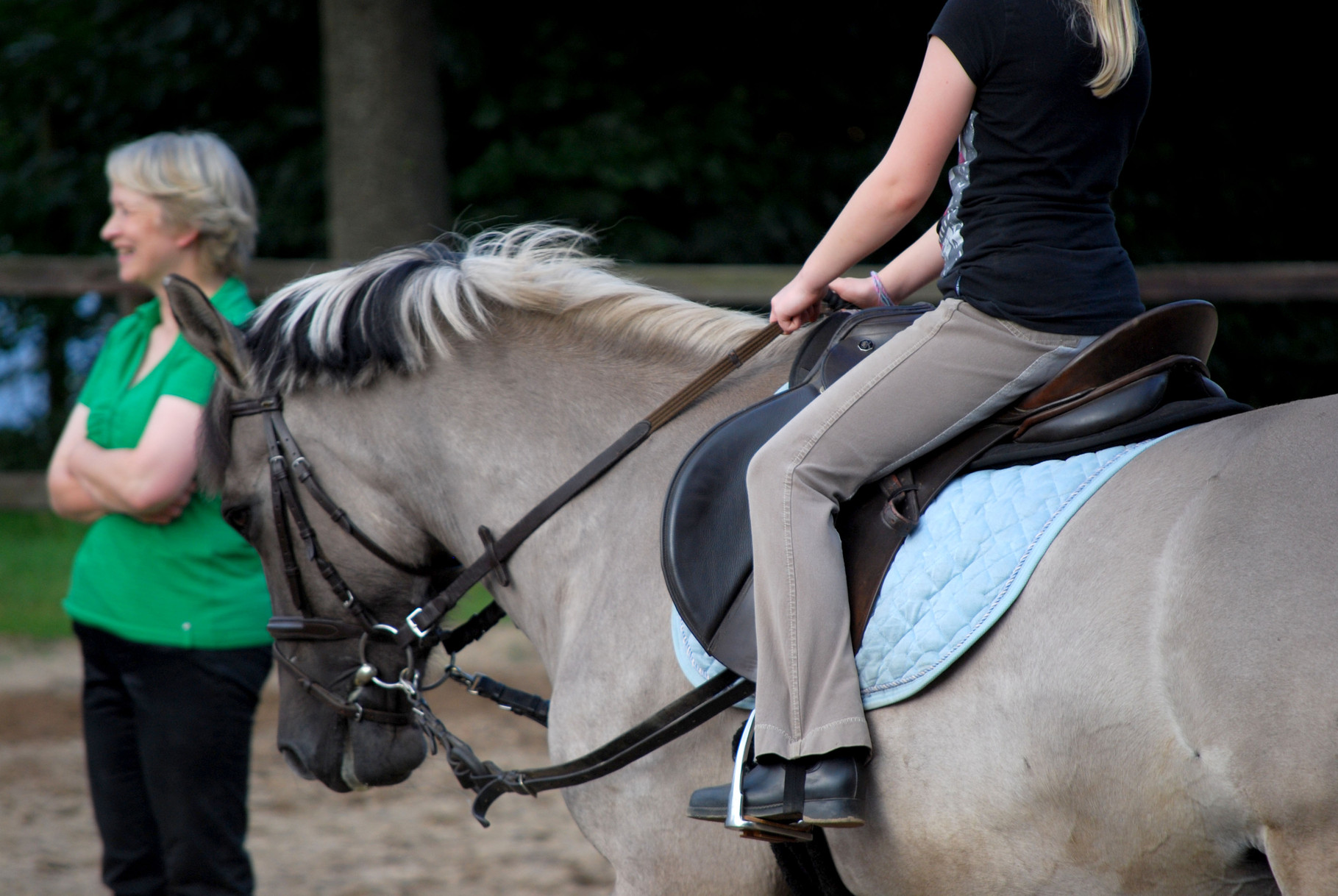 Reiten reitvereinbuxtehudes Webseite!