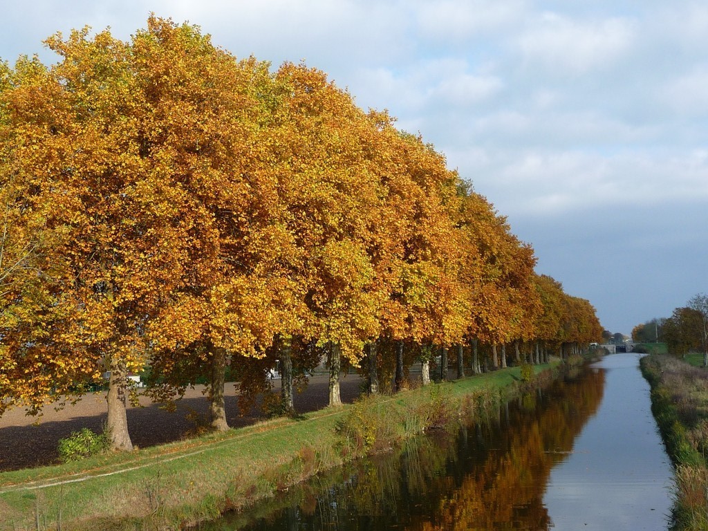Le canal de la Marne au Rhin / The Canal from the Marne to the Rhine