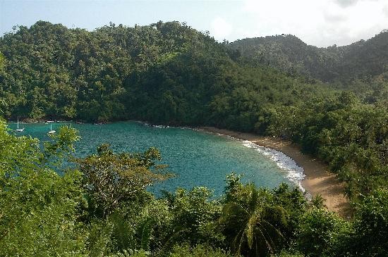 Tobago View